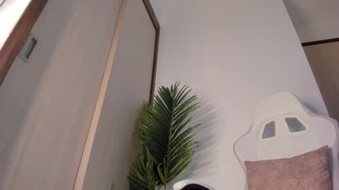 markus... Y online show from December 29, 1:24 am