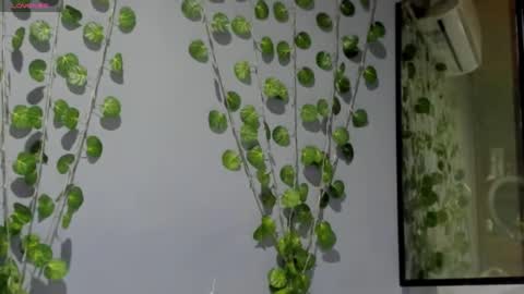 marly online show from February 26, 3:10 am