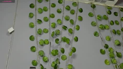 marly online show from February 28, 2:42 am