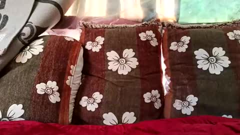 Snapshot of marocreda33 chatting on February 10, 10:20 am marocreda33 online show from February 10, 10:20 am