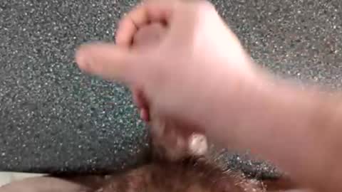 marrieddadeh online show from March 23, 4:55 pm