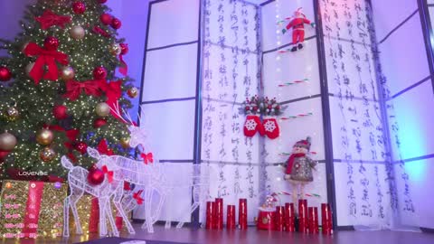 Mary online show from December 15, 2:49 am