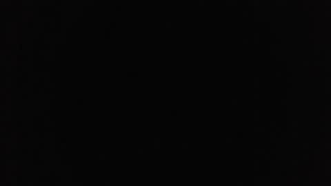 marsupilami_82_ online show from October 21, 4:30 pm