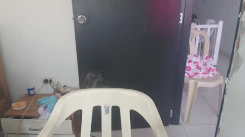 maryam_arabicmilk online show from January 8, 3:07 pm