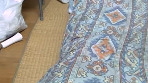 masayann online show from October 20, 12:44 am