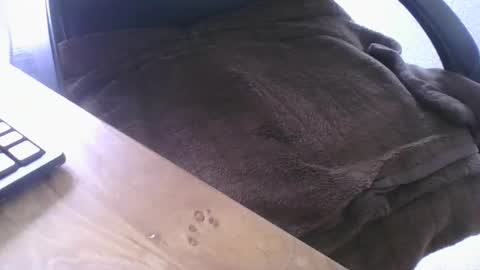 maskime59 online show from February 21, 1:45 pm