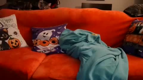 alex online show from October 20, 7:53 am