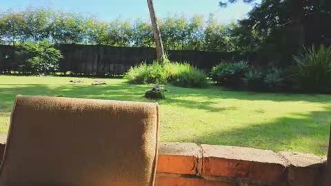 Matt Sweet online show from January 14, 2:23 pm