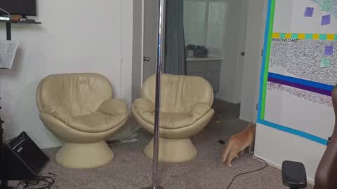 Matt Cash online show from January 10, 2:14 am