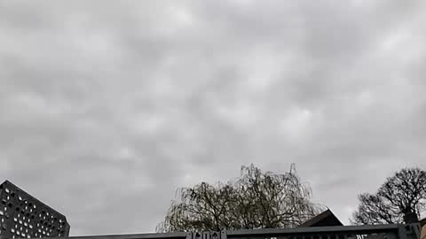 Mattythelog online show from March 19, 9:35 am