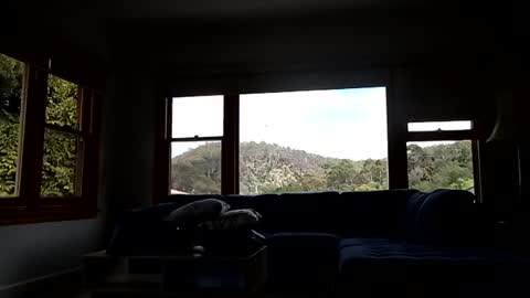 Snapshot of mattlesnake_101 chatting on February 15, 12:40 am mattlesnake_101 online show from February 15, 12:40 am