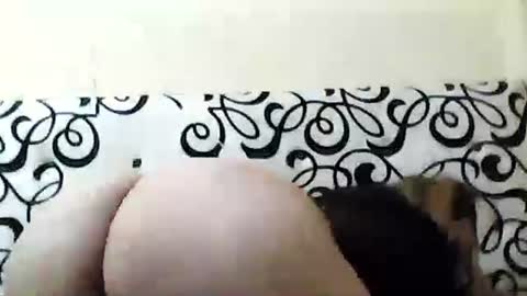 mature_sweet3827 online show from December 6, 5:53 am