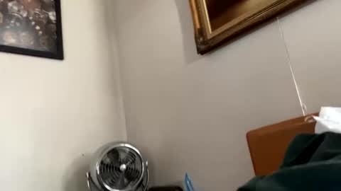 maturejerky online show from November 18, 7:40 pm