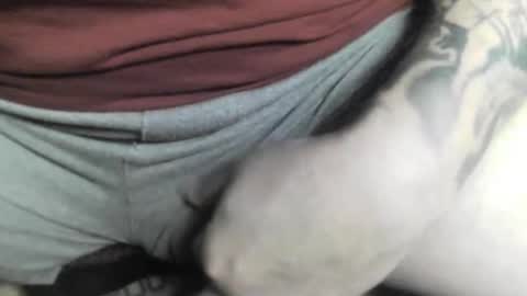 Snapshot of max_gv chatting on October 12, 4:28 pm max_gv online show from October 12, 4:28 pm
