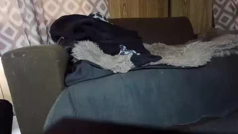 Snapshot of maximus_oreally chatting on February 1, 7:15 am Max online show from February 1, 7:15 am