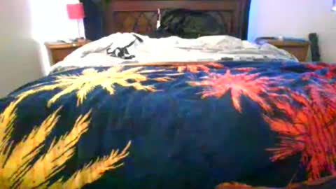 Max online show from February 5, 8:19 am