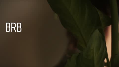 Mary  . online show from December 28, 8:58 am