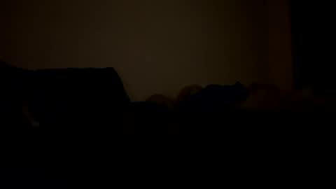 mb99667788 online show from February 24, 3:15 am