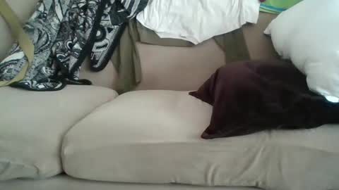 yung n hung online show from February 8, 8:42 pm