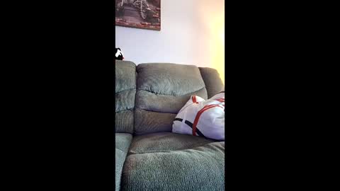 Snapshot of meathome3 chatting on March 1, 5:48 pm me at home online show from March 1, 5:48 pm