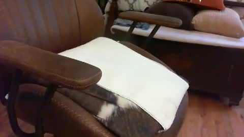 medfirebear online show from November 28, 5:59 pm