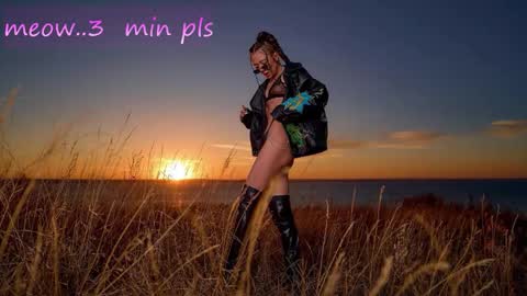 Sweet Meow nonude online show from November 14, 3:38 am