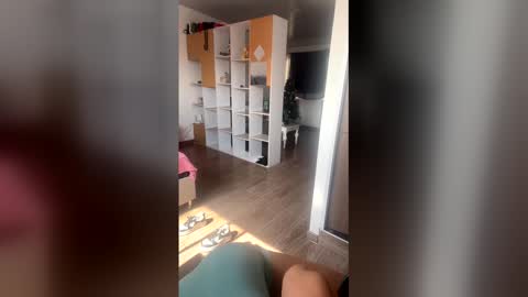 Snapshot of megaan0 chatting on December 16, 2:55 pm sofi online show from December 16, 2:55 pm