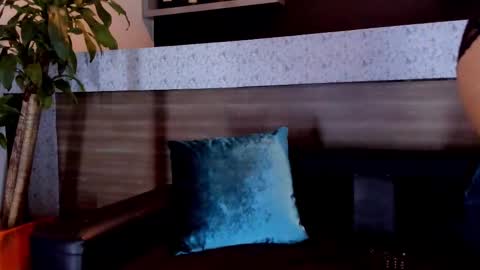 Snapshot of megan_al chatting on January 30, 12:16 pm emily online show from January 30, 12:16 pm