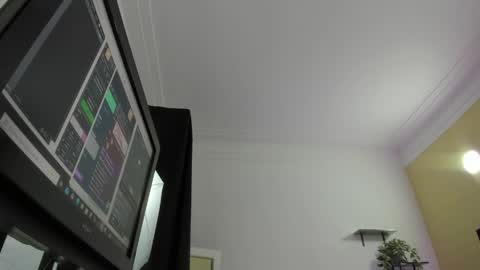     online show from April 3, 11:30 am