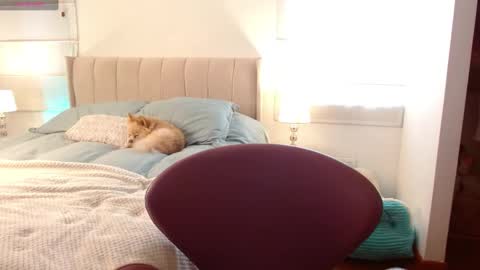 MEGAN online show from January 2, 8:35 pm