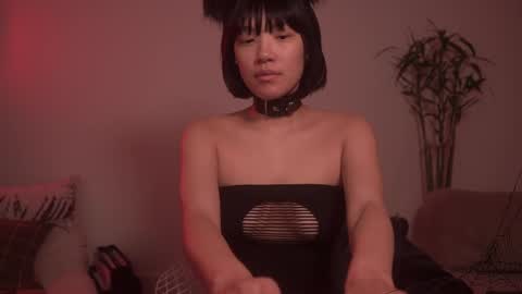  for more 3 online show from October 8, 2:20 am