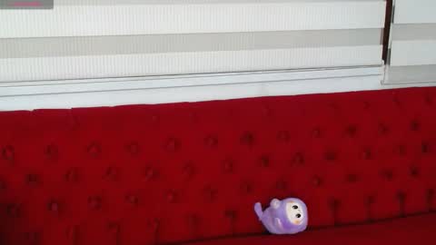 meilybarbie online show from January 6, 11:25 am