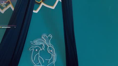 Melany online show from January 22, 2:56 pm