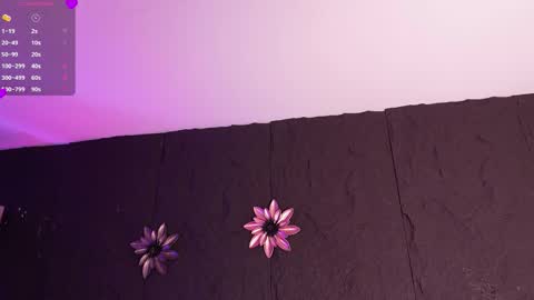 Melissa online show from January 11, 1:27 pm