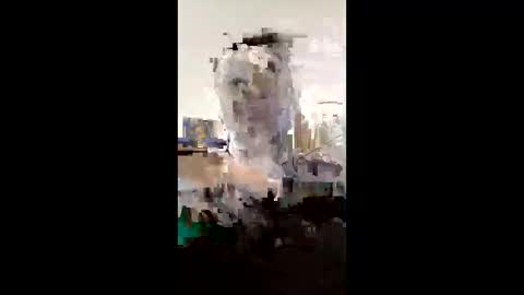 Snapshot of melissaknowles46 chatting on February 1, 12:59 pm melissaknowles46 online show from February 1, 12:59 pm