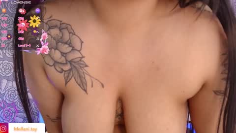 Snapshot of mellani_tay chatting on February 3, 9:30 am Mellani  online show from February 3, 9:30 am