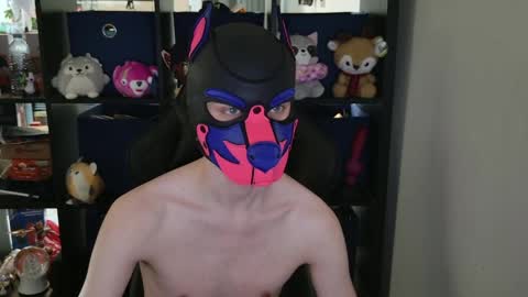 Snapshot of mellpup chatting on April 29, 6:36 pm MellPUP online show from April 29, 6:36 pm