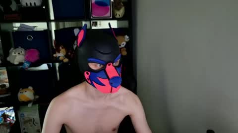 Snapshot of mellpup chatting on May 26, 3:41 pm MellPUP online show from May 26, 3:41 pm