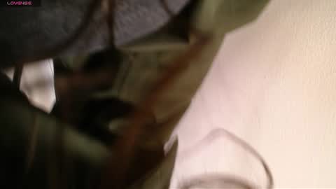 Melodi online show from June 23, 12:58 pm