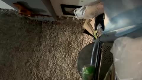 melodysnow online show from January 8, 12:40 pm