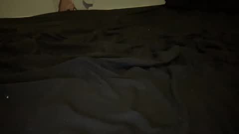 melt13 online show from November 13, 4:11 am