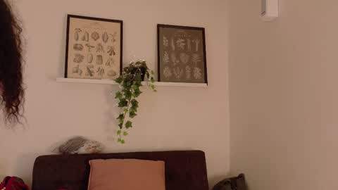  Memphis Williams  online show from February 19, 2:40 am