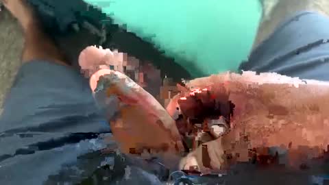 Toro loco online show from September 14, 9:58 pm