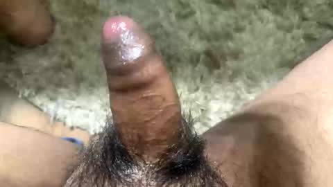 Toro loco online show from November 13, 5:39 am