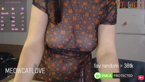 Snapshot of meowcatlove chatting on January 26, 11:08 pm meowcatlove online show from January 26, 11:08 pm