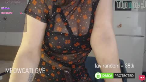 Snapshot of meowcatlove chatting on March 4, 7:43 pm meowcatlove online show from March 4, 7:43 pm