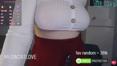 Snapshot of meowcatlove chatting on March 8, 6:37 pm meowcatlove online show from March 8, 6:37 pm