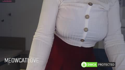 Snapshot of meowcatlove chatting on March 12, 9:03 pm meowcatlove online show from March 12, 9:03 pm