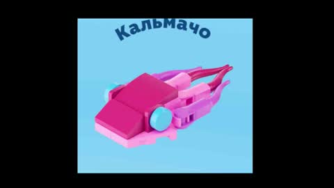 meowcr online show from December 16, 11:54 pm