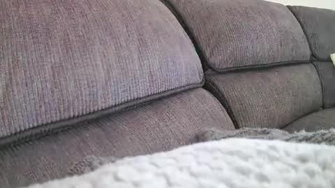 Snapshot of mexianthehawk chatting on March 30, 4:35 am mexianthehawk online show from March 30, 4:35 am